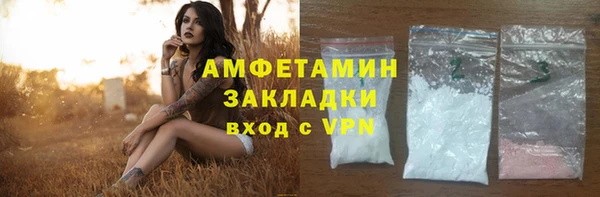 твердый Карпинск
