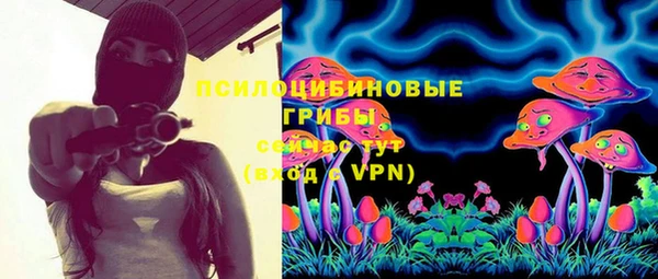 винт Каменск-Шахтинский