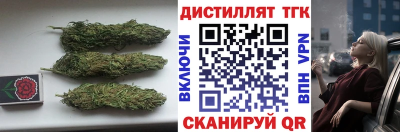 Купить где  Жердевка  ТГК гашишное масло 