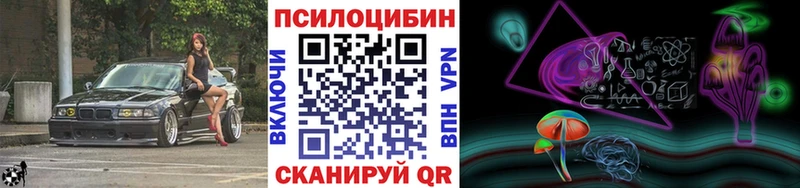 Галлюциногенные грибы Psilocybe  Купить где  Жердевка 